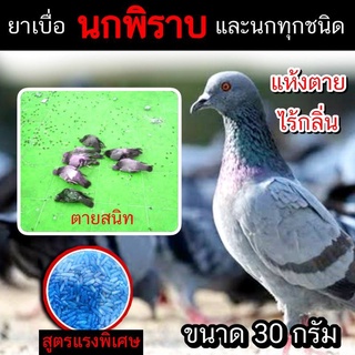 ยาเบื่อนกพิราบ 30 กรัม กำจัดนก ไล่นก เหยื่อกำจัดนกพิราบ ยากำจัดนก