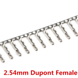 ใหม่ ชุดขั้วต่อสายไฟจัมเปอร์ Dupont Pin ตัวเมีย 2.54 มม. 100 ชิ้น