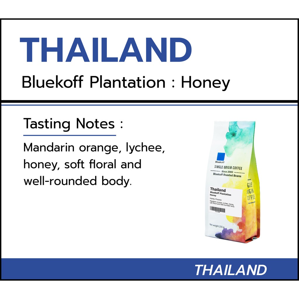 ภาพหน้าปกสินค้าBluekoff Plantation: Honey เมล็ดกาแฟ ไทย อราบิก้า 100% Arabica 100% (1 ถุง บรรจุ 250 กรัม) คั่วตามรอบ จากร้าน bluekoff บน Shopee