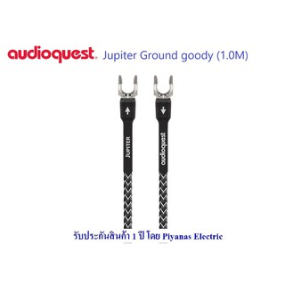 AudioQuest  Jupiter Ground goody  1m