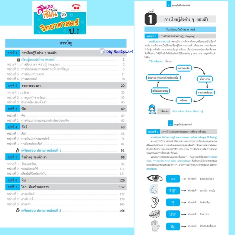 หนังสือ-สอนลูกให้เป็นเซียน-วิทยาศาสตร์-ป-4-ฉบับปรับปรุงหลักสูตร-2560-พิมพ์-2-สี-ภูมิบัณฑิต