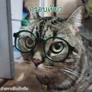 ภาพขนาดย่อของภาพหน้าปกสินค้าแว่นเด็กเนิร์ด แว่นตาสัตว์เลี้ยง แว่นหมา แว่นแมว จากร้าน rongrong.v บน Shopee