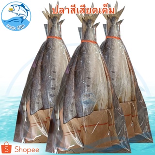ภาพขนาดย่อของภาพหน้าปกสินค้าปลาสีเสียดเค็ม 1แพ็ค 500กรัม ปลาสีเสียด ปลาเสียด ปลาแดดเดียว ปลาเค็ม ปลาแห้ง ปลาตากแห้ง อาหารทะเล อาหารทะเลแห้ง ของแห้ง จากร้าน krachangseafood_thailand บน Shopee ภาพที่ 7