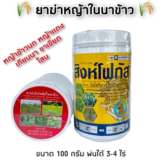 ยาฆ่าหญ้าในนาข้าว สิงห์โฟกัส บิสไพริแบก-โซเดียม 20% ยาเก็บหญ้าในนาข้าว ยาฆ่าหญ้า หญ้าข้าวนก ดอกขาว กกทราย เทียนนา