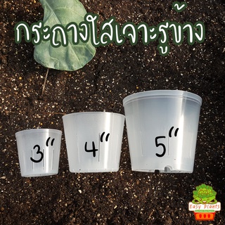 กระถาง ใส เจาะรูข้าง ปลูกต้นไม้ สามารถมองทะลุ เห็นรากที่เกิดขึ้นมาได้ Transparent Tree pot