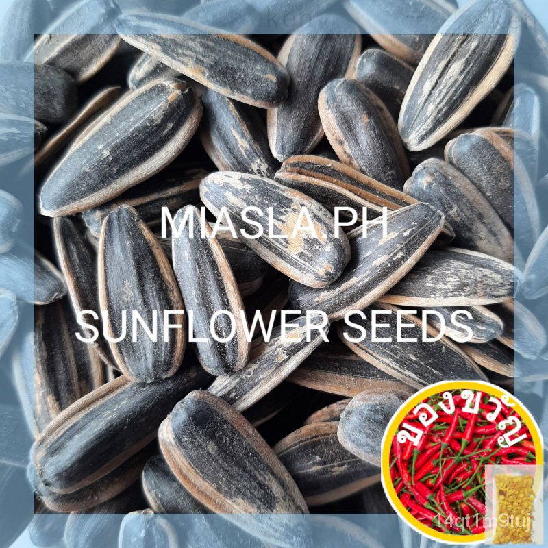 sunflower-seeds-80g-kutkutin-packed-in-a-resealable-pouchพาสต้า-กระโปรง-คื่นฉ่ายแม่และเด็ก-เด็ก-ผู้ชาย-เสื้อ-กางเกง-สร้อ