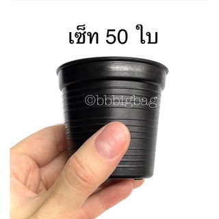 กระถางแคคตัส ปากกว้าง 2.5 นิ้ว กระถางกระบองเพชร กระถางต้นไม้ เซ็ท 50 ใบ