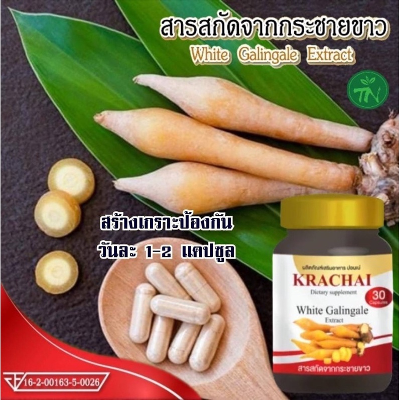 สารสกัดจากกระชายขาว-white-galingale-extract