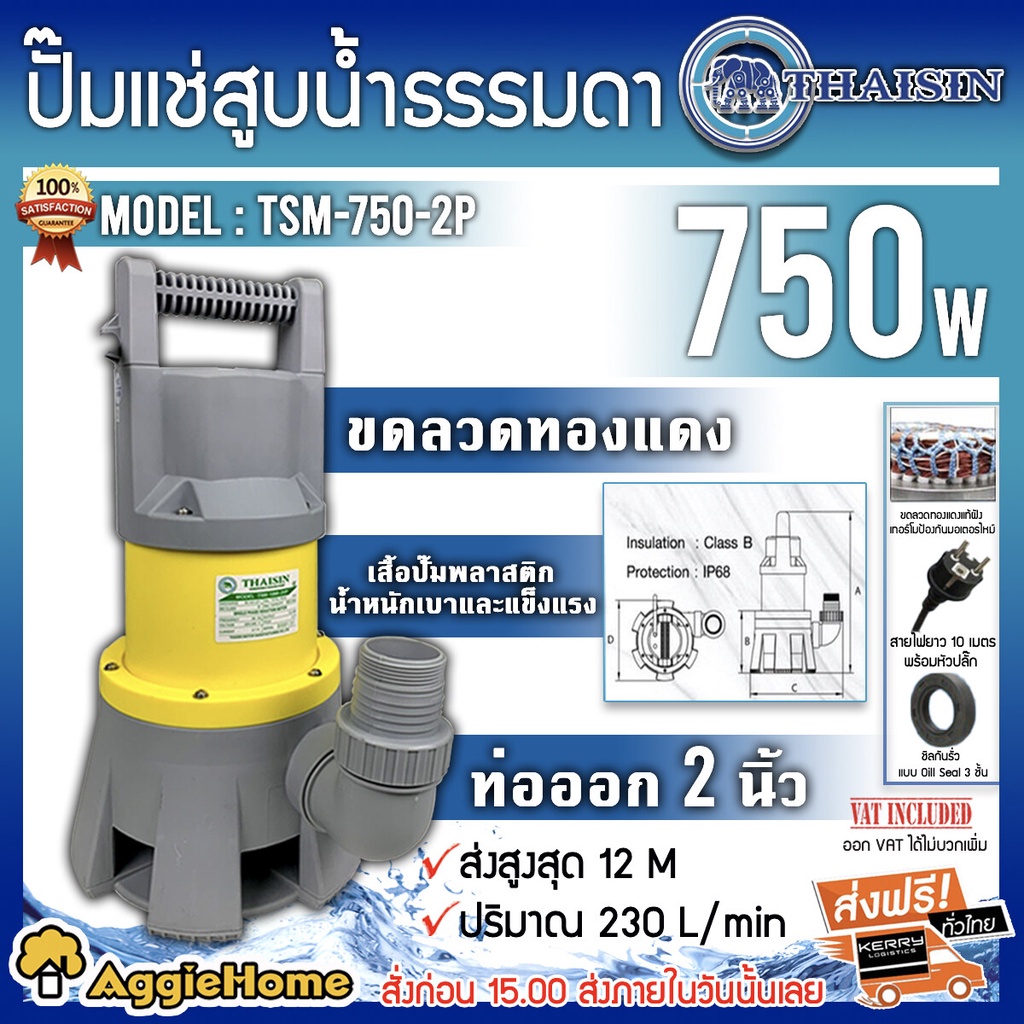 thaisin-ไดโว่-ปั๊มแช่-สูบน้ำ-รุ่น-tsm-750-2p-ขนาด-2-นิ้ว-750-วัตต์-ปั๊มน้ำ-ไดโว่