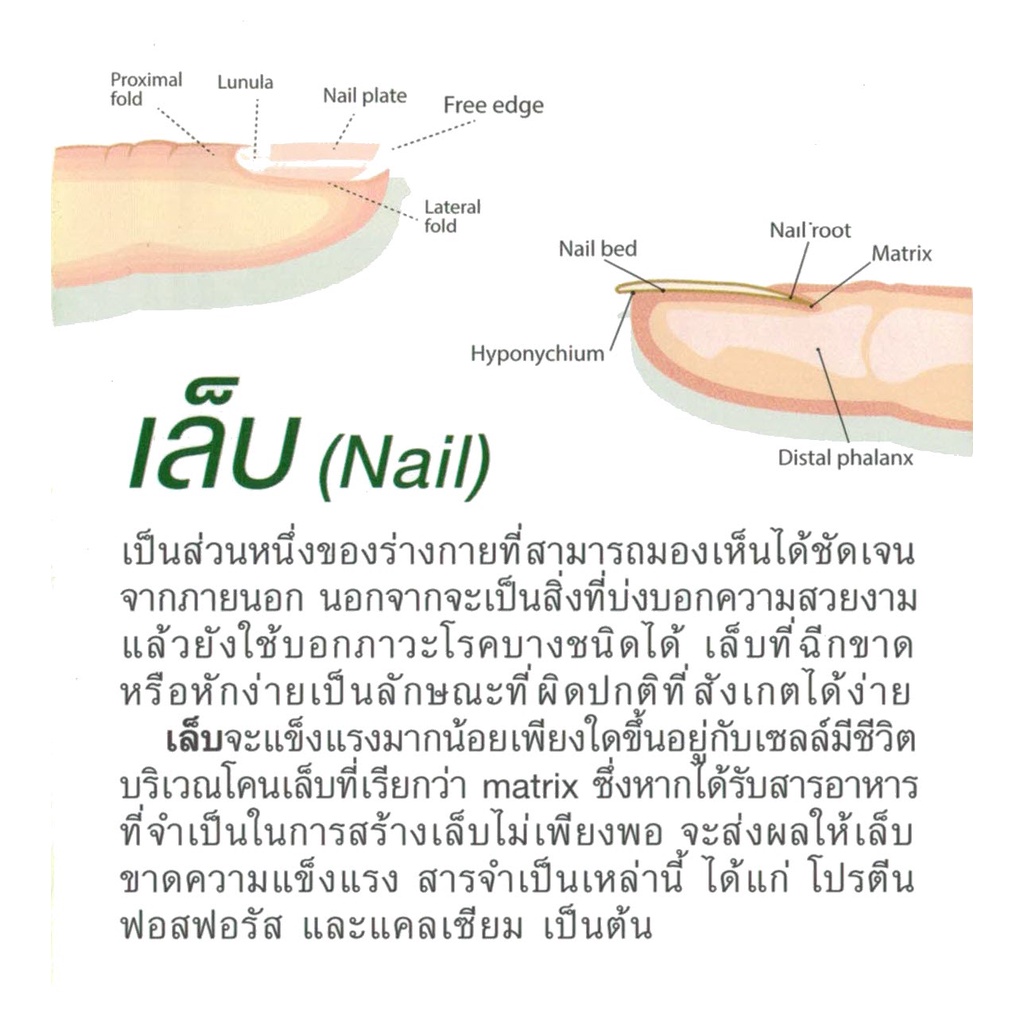 ภาพสินค้าBIOTIN ZINC 90 เม็ด ไบโอทิน ซิงก์ คณะเภสัช จุฬา บำรุงผม ผิว เล็บ จากร้าน beausoth บน Shopee ภาพที่ 8