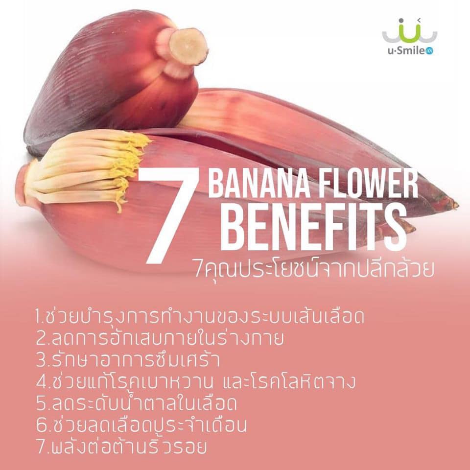 ส่งฟรี-ผงผักหัวปลี-banana-flower-ช่วยเพิ่มน้ำนมแม่-ละลายน้ำทานได้เหมือนน้ำคั้นผัก-หรือน้ำผักปั่น-แต่ยังมี-เนื้อผักครบ