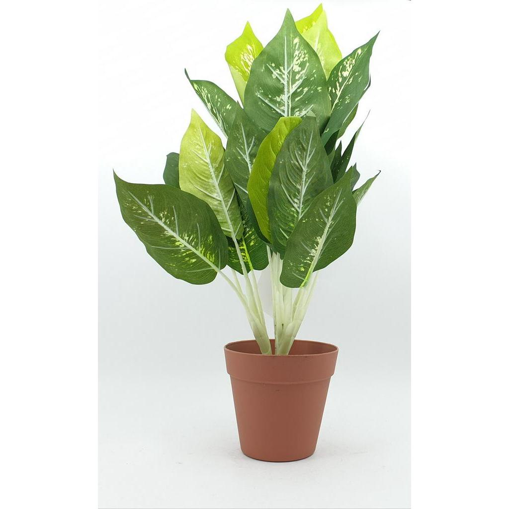 bighot-tree-o-ต้นสาวน้อยประแป้งประดิษฐ์-สูง-40cm-al17t094