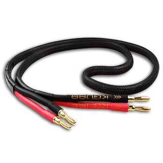 Kguss CH600 สายเคเบิลลําโพง ทองแดงบริสุทธิ์ ไร้ออกซิเจน 4N พลังงานสูง ...