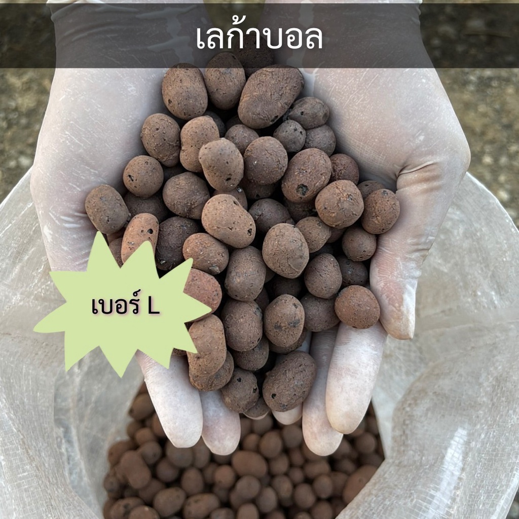 เลก้าบอล-ดินเผามวลเบา-ส่งฟรี-leca-ball-วัสดุปลูกไม้ใบ-ไม้ด่าง-ไม้ฟอกอากาศ-ใช้รองก้นกระถาง-ผสมดินปลูก-โรยหน้ากระถาง