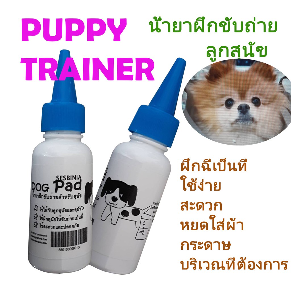 puppy-trainer-น้ำยาฝึกขับถ่าย-ฝึกฉี่-ลูกสุนัข-สุนัขโต