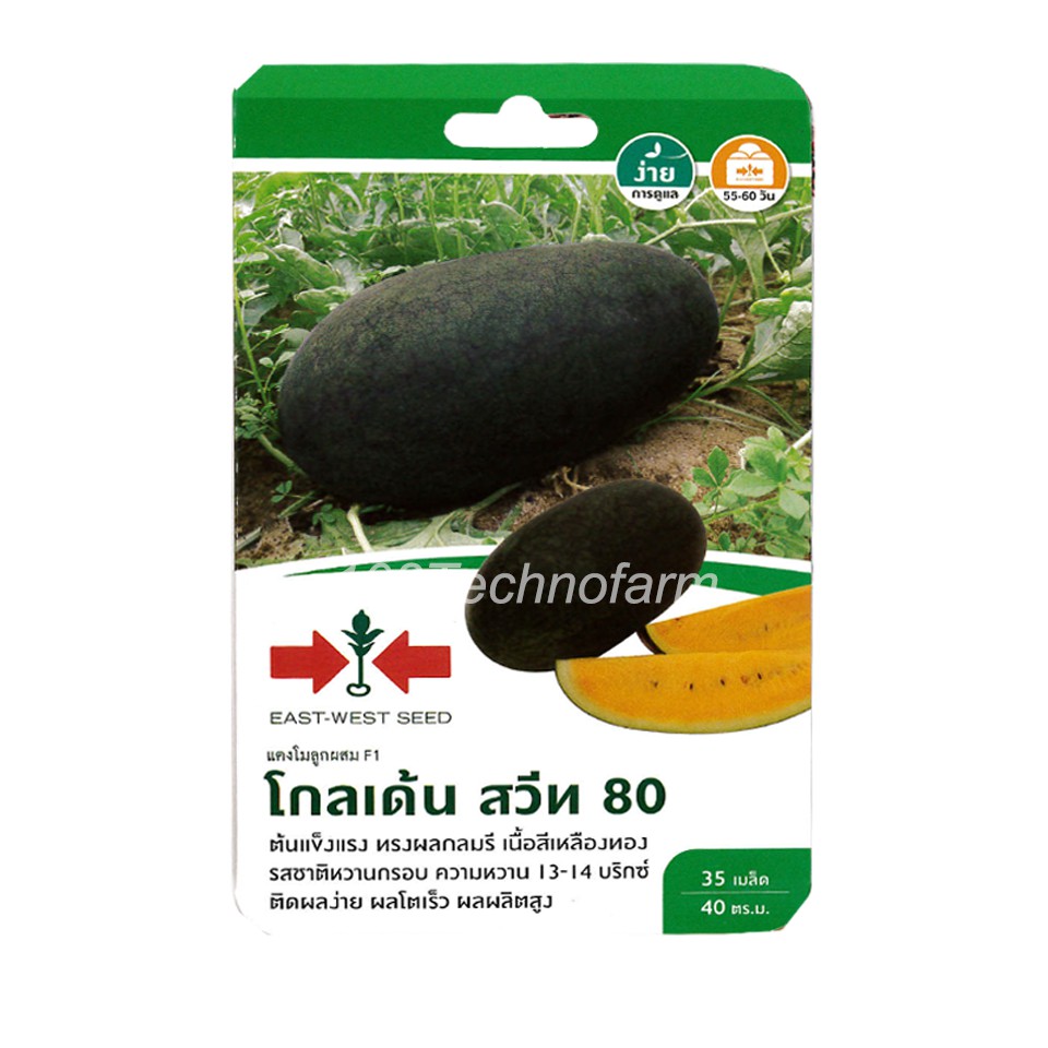 เมล็ดพันธุ์-แตงโม-โกลเด้นสวีท-80-ตราศรแดง