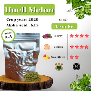 ภาพหน้าปกสินค้าHuell Melon Hops GER (1oz) Crop years 2020 (บรรจุด้วยระบบสูญญากาศ) ซึ่งคุณอาจชอบสินค้านี้