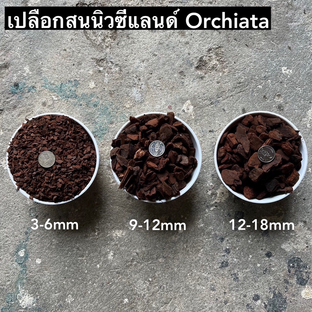 ภาพสินค้าส่งฟรี เปลือกสนนิวซีแลนด์ Orchiata ขนาด 35 ลิตร จากร้าน littlegarden.cnx บน Shopee ภาพที่ 4