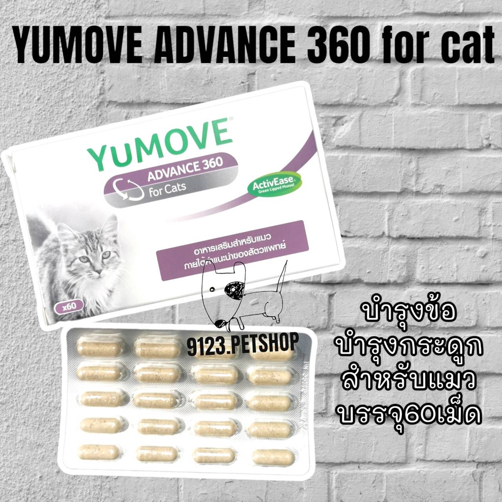 yumove-advance-360-60เม็ด-for-cats-activease-green-lipped-mussel-อาหารเสริมสำหรับแมว-บำรุงข้อต่อแมว