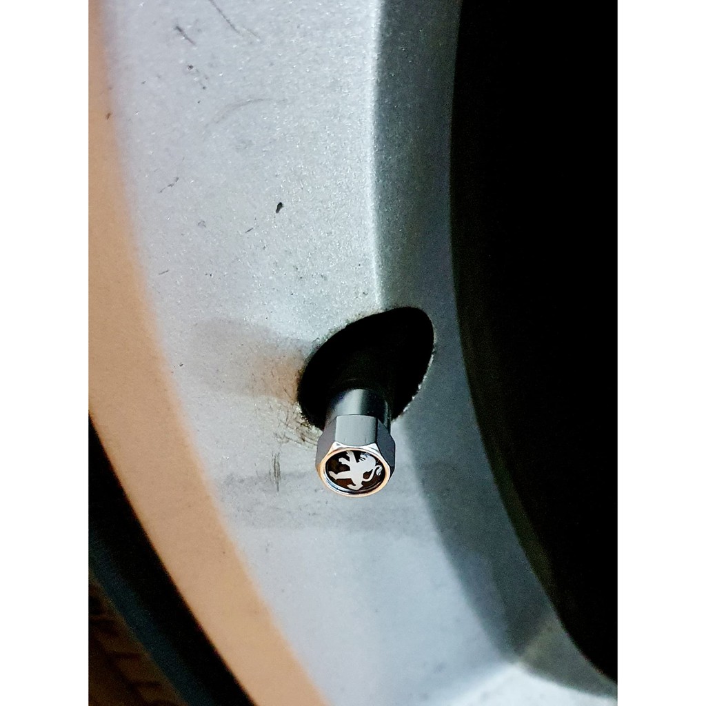 จุบลม-peugeot-สีเงิน-ตรงรุ่น-207cc-308cc-rcz-408-508-3008-5008-ฝาปิด-เติมลมยาง-สำหรับ-เปอโย-ทุกรุ่น