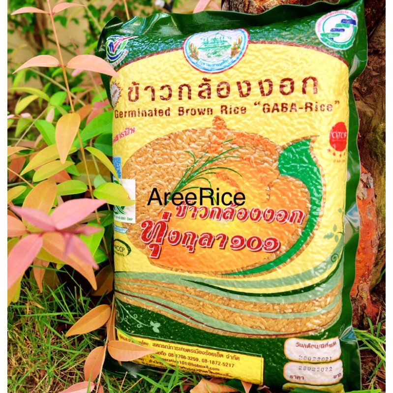 ข้าวกล้องงอกทุ่งกุลา101แท้100-บรรจุ2กก-germinated-brown-rice-official-store-ข้าวใหม่ปี2023