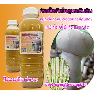 หัวเชื้อเห็ดไคเห็ดป่าเศรษฐกิจ สูตรเข้มข้น1ขวดหมักโดยน้ำอ้อยอินทรีย์ปลอดสารไม่เติมน้ำหรือฮอร์โมนและวัตถุเคมีใดๆ 500cc