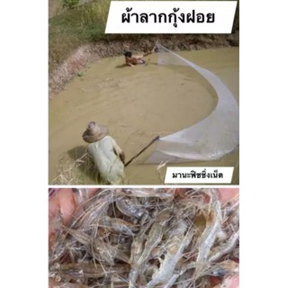 ที่จับกุ้งฝอย ปลาซิว ปลาตัวเล็ก