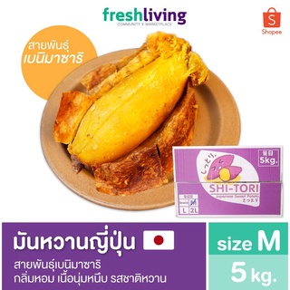 ภาพหน้าปกสินค้ามันหวานญี่ปุ่น เบนิมาซาริ ไซส์ M ยกลัง 5Kg. กลิ่นหอม เนื้อนุ่มหนึบ รสชาติหวาน Shitori ที่เกี่ยวข้อง