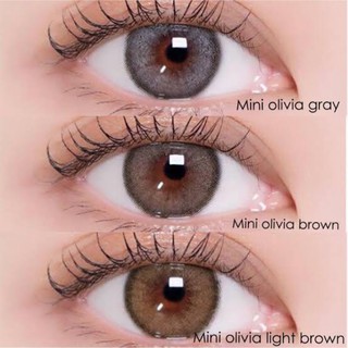 olivia gray  olivia Light brown  oliva Brown