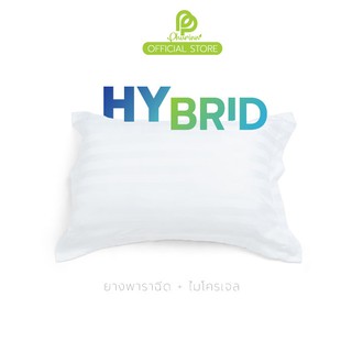 ภาพหน้าปกสินค้าHybrid หมอนไฮบริด ยางพารา + ไมโครเจล สัมผัสนุ่มแน่น ที่เกี่ยวข้อง