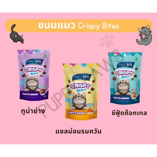 Crispy Bite cat N joy ขนมกรุบกรอบสำหรับแมว ขนมแมว 60กรัม