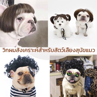 🐶พร้อมส่ง🐾 วิกผมสังเคราะห์สําหรับ สัตว์เลี้ยงผมปลอม แมว หมา  วิกผมสังเคราะห์สําหรับ