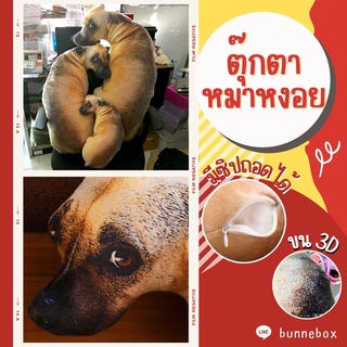 ภาพหน้าปกสินค้าขายดีสุด พร้อมส่งจากไทย หมอนหมา หมอนหมาหงอย หมาจ๋อยสามมิติ เหมือนมาก ‼️ ที่เกี่ยวข้อง