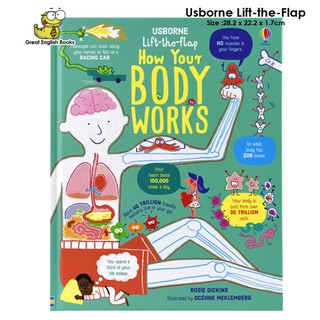 *พร้อมส่ง* บอร์ดบุ๊คเล่มใหญ่ Usborne Lift-the-Flap - How Your Body Works หนังสือเด็กเล็ก เปิดปิดได้