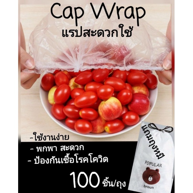 wrap-ฟิล์มถนอมอาหาร-แรปห่ออาหาร-ฟิล์มห่ออาหาร-ฟิล์มห่อหุ้มอาหาร