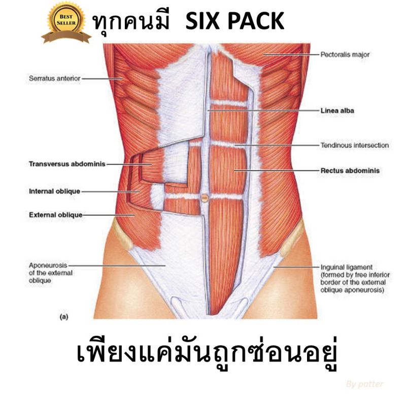 ฟิตแอนด์เฟิร์ม-อาหารเสริม