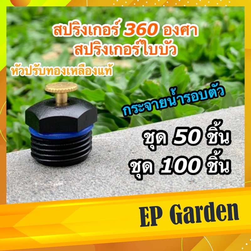 สปริงเกอร์-360-องศา-หัวมินิสปริงเกอร์ใบบัว-4-หุน-1-2-นิ้ว-หัวใบบัว-ฉีดน้ำ-ละอองฝอยเหมือนฝน-ระบบน้ำสนามหญ้า-ราคาส่ง-0413