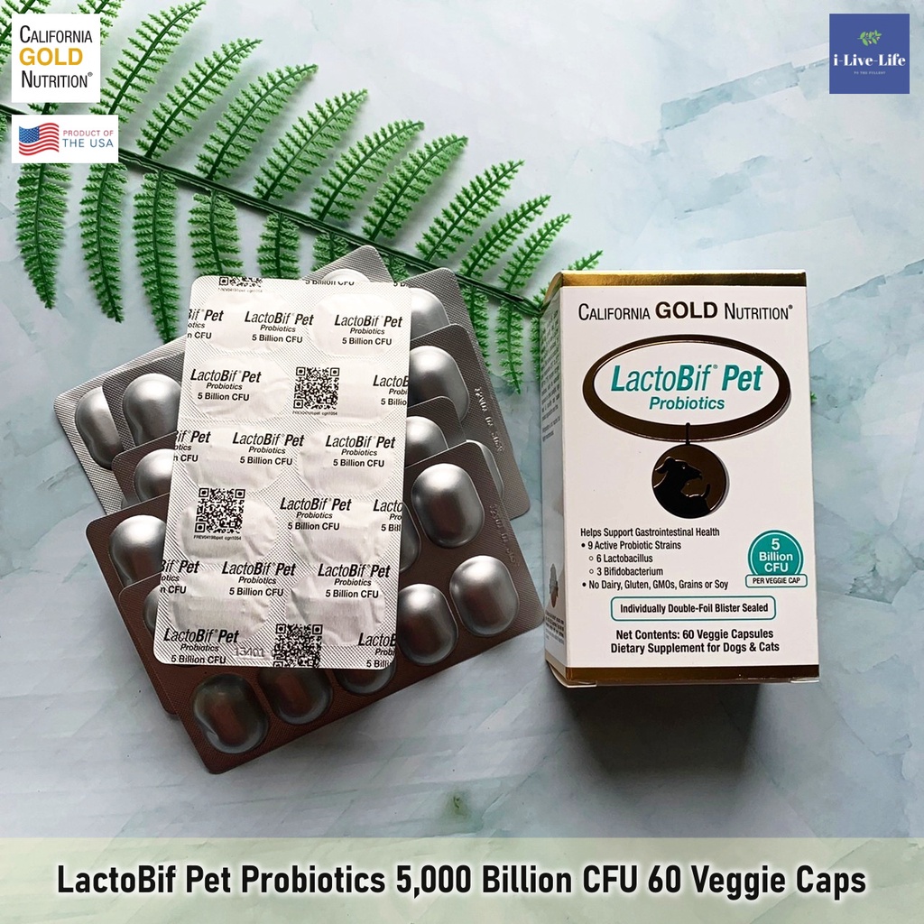 โปรไบโอติค สำหรับสุนัขและแมว LactoBif Pet Probiotics 5,000 Billion CFU ...