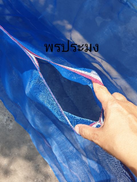 กระชังกบ-กระชังจิ้งหรีด