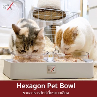 PET X : Hexagon Bowl ชามอาหารสัตว์เลี้ยงแบบเอียง กินอาหารสะดวกขึ้น ไม่เมื่อยคอ