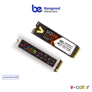 v-color RGB M.2 SSD 500GB & FILLER KIT