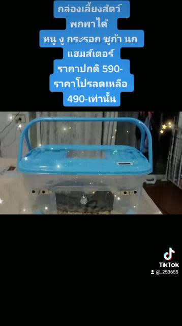 กล่องเลี้ยงสัตว์diy-กล่องเลี้ยงเม่น-หนูแฮมส์เตอร์-งู-ชูก้า-กระรอก-นก-ดอร์เมาส์-อื่นๆ