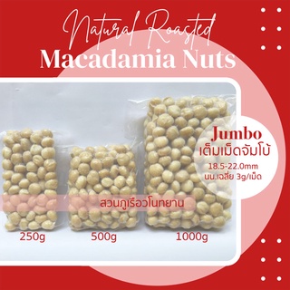 แมคคาเดเมีย อบพร้อมทาน เต็มเม็ดจัมโบ้ Macadamia nuts