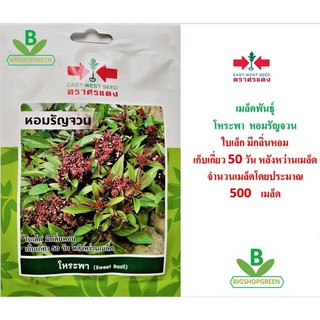 5 ฟรี 1 คละได้ เมล็ดพันธุ์ โหระพา  หอมรัญจวน ตรา ศรแดง เมล็ดผัก เมล็ดพันธุ์พืช  เมล็ดพืช  เมล็ดพันธุ์ผัก