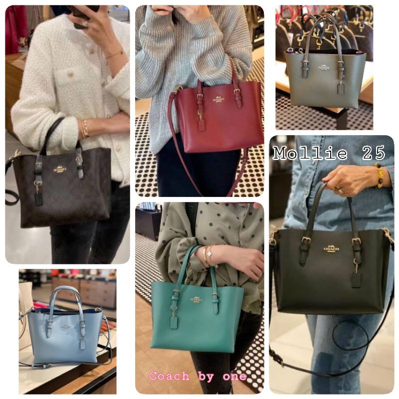 ส่งฟรี-ผ่อนบัตร-new-coach-mollie-tote-25