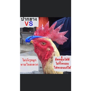 นวมไก่ชน นวมมัดปากไก่ชน เป็น 2 ชุดนะครับ 8 ชุดมี 8 คู่ สำหรับลงนวมมัดปากไก่ชนทำจากยางพาราคารับประกันคุณภาพ