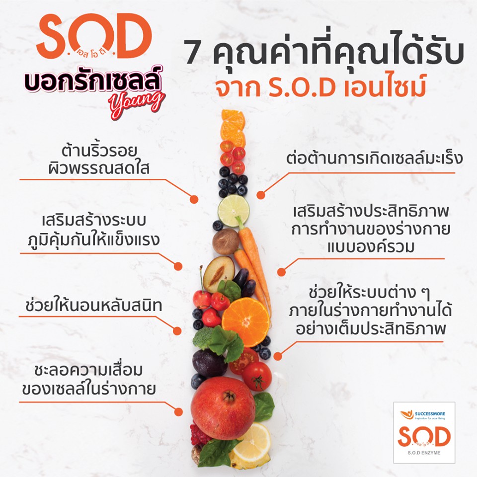 ภาพสินค้าSuccessmore S.O.D MORE SOD More ผลิตภัณฑ์เสริมอาหารต้านอนุมูลอิสระที่เหนือกว่าสารต้านอนุมูลอิสระทั่วไป 600 ml จากร้าน healthbeauty9999 บน Shopee ภาพที่ 2