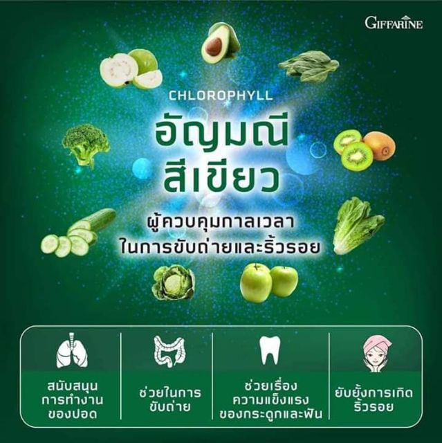 ไฟโตวิตกิฟฟารีน-สารสกัดจากผักและผลไม้รวม-ชนิดเม็ด-phyto-vitt-giffarine