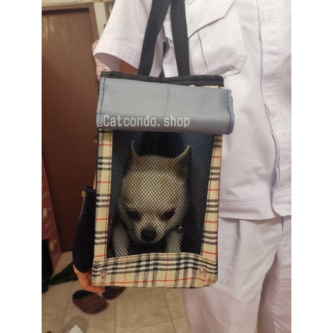 ภาพสินค้า️กระเป๋าใส่แมว กระเป๋าใส่สุนัข กระเป๋าสัตว์เลี้ยง กระเป๋าแมว ️ จากร้าน ratimapeem บน Shopee ภาพที่ 7