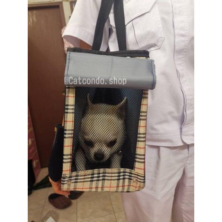 ภาพขนาดย่อของภาพหน้าปกสินค้า️กระเป๋าใส่แมว กระเป๋าใส่สุนัข กระเป๋าสัตว์เลี้ยง กระเป๋าแมว ️ จากร้าน ratimapeem บน Shopee ภาพที่ 7